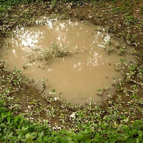 View image 2 of 2 for AKI Diorama Effects - Puddles 60ml