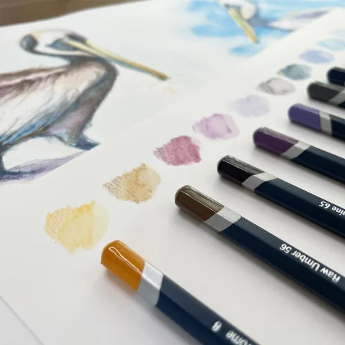 View image 3 of 8 for Derwent Colored Pencils, Watercolour, Water Color Pencils, Drawing, Art, Metal Tin, 12 Count (32881)