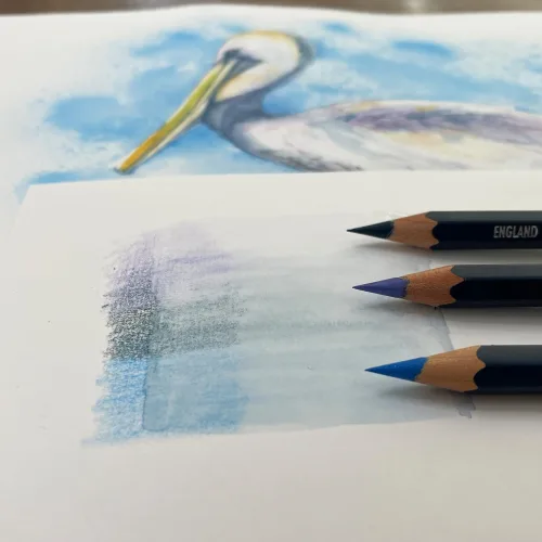 View image 4 of 8 for Derwent Colored Pencils, Watercolour, Water Color Pencils, Drawing, Art, Metal Tin, 12 Count (32881)