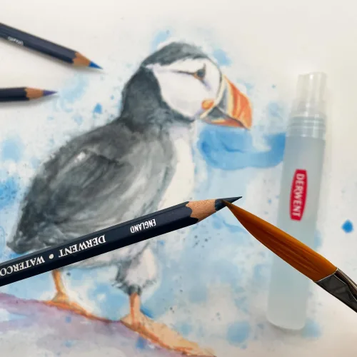 View image 5 of 8 for Derwent Colored Pencils, Watercolour, Water Color Pencils, Drawing, Art, Metal Tin, 12 Count (32881)