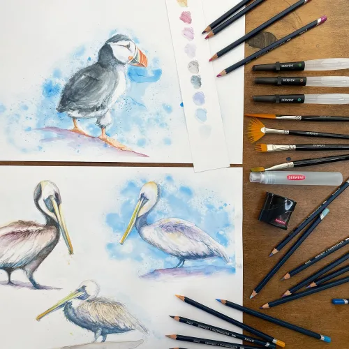 View image 7 of 8 for Derwent Colored Pencils, Watercolour, Water Color Pencils, Drawing, Art, Metal Tin, 12 Count (32881)