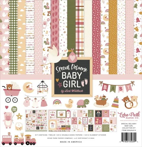 Special Delivery Baby Girl Collection Kit by Echo Park Paper